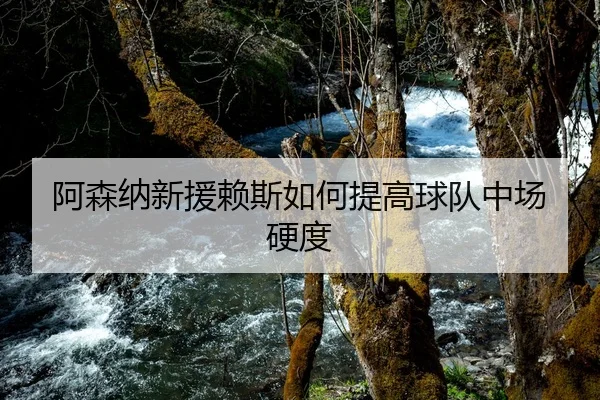 阿森纳新援赖斯如何提高球队中场硬度